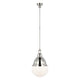 Polished Nickel