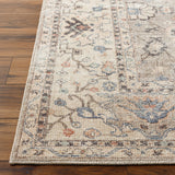 OVERSTOCK RUG - Becki Owens Davina Taupe Rug - 7'10" x 10'