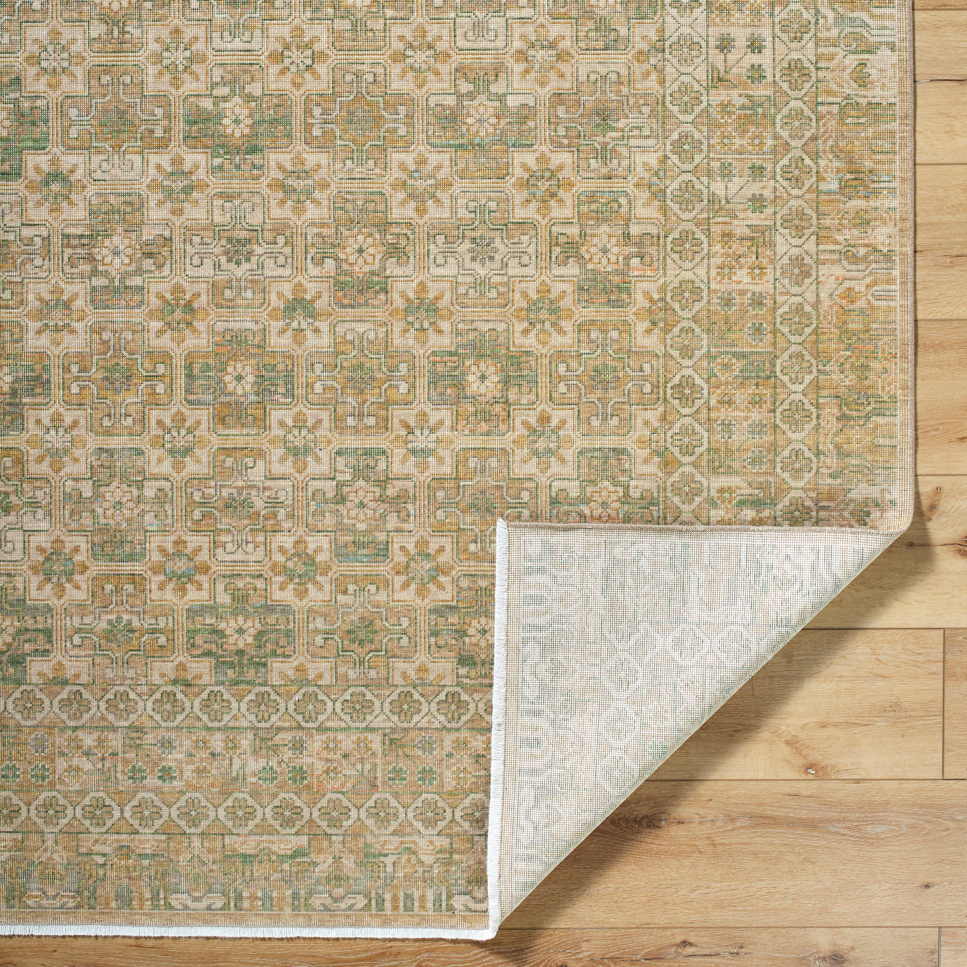 renaissance BORI-2304 Light Beige, Tan, Taupe, Olive Rug - Rug & Weave