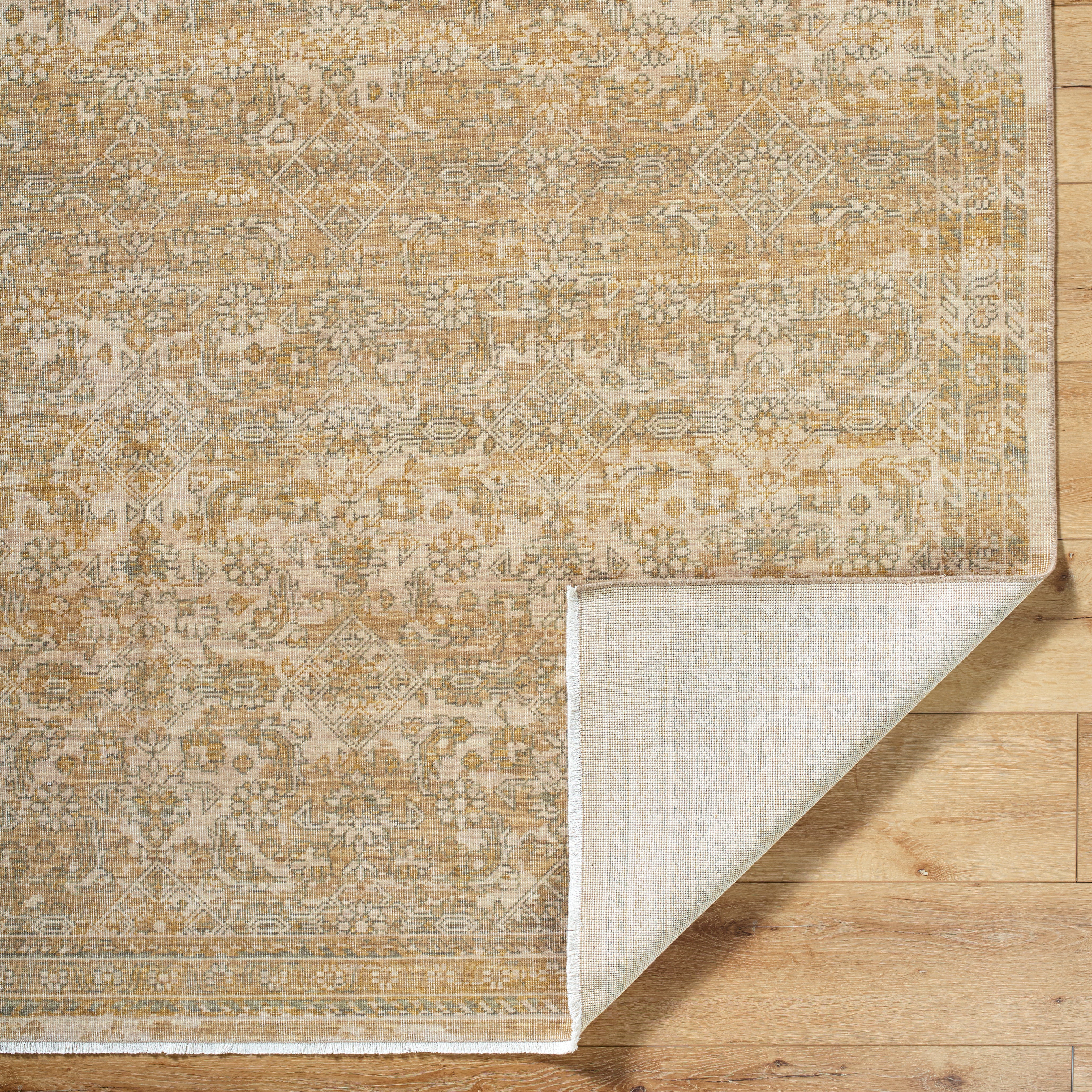 renaissance BORI-2305 Light Beige, Taupe, Tan Rug - Rug & Weave