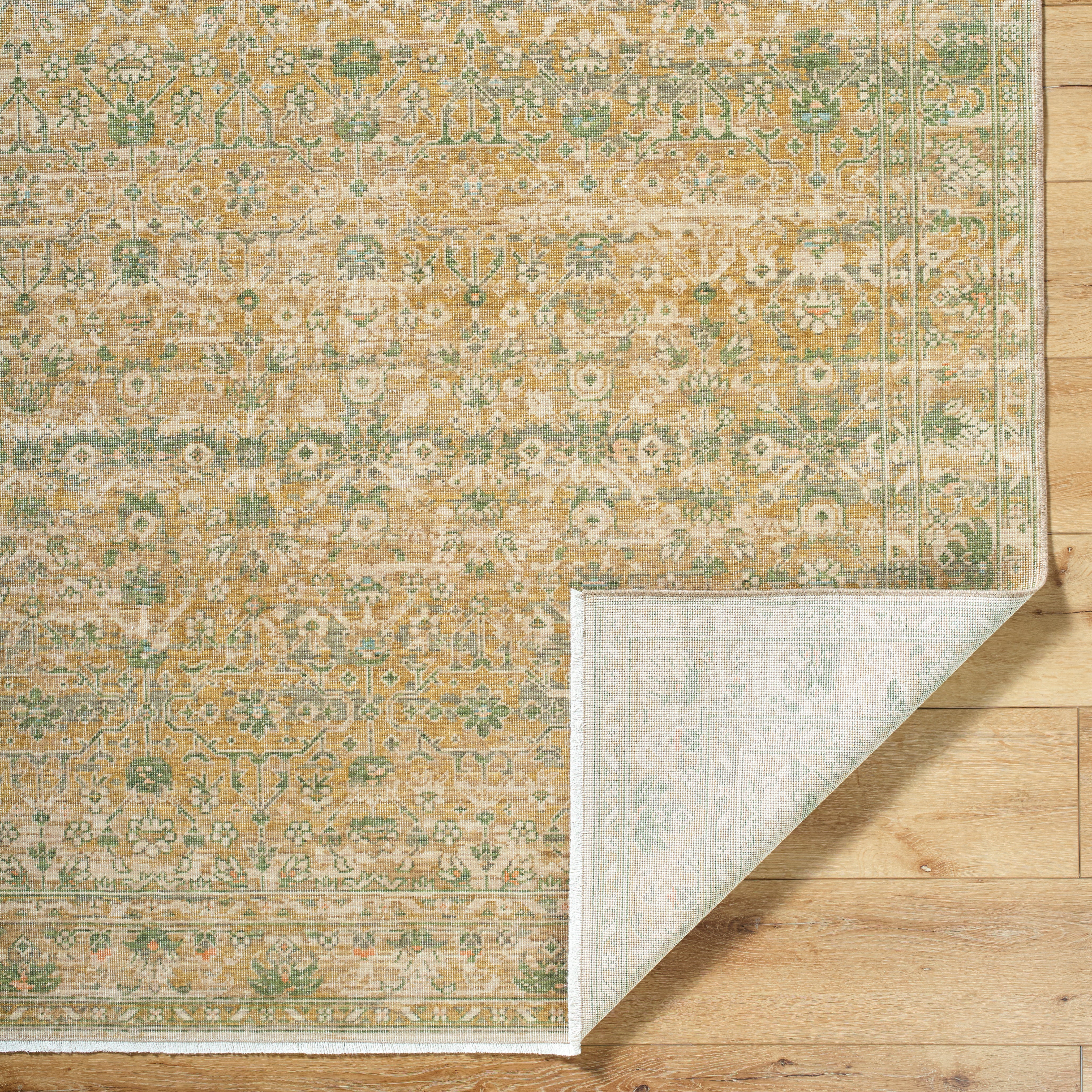 renaissance BORI-2306 Light Beige, Taupe, Tan, Olive Rug - Rug & Weave