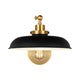 Midnight Black and Burnished Brass