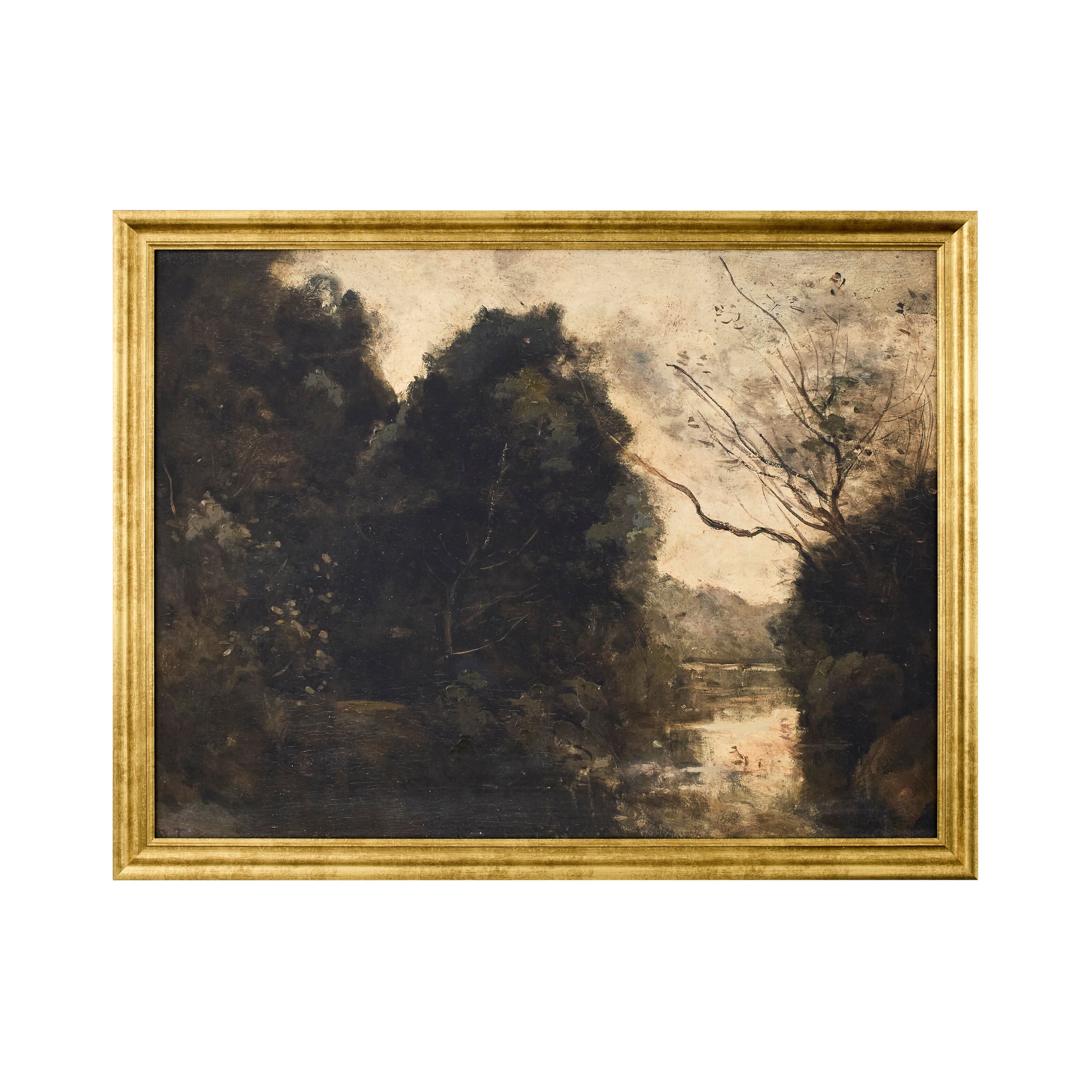 "Eldrado Grove" Framed Canvas ART - Framed Art Surya