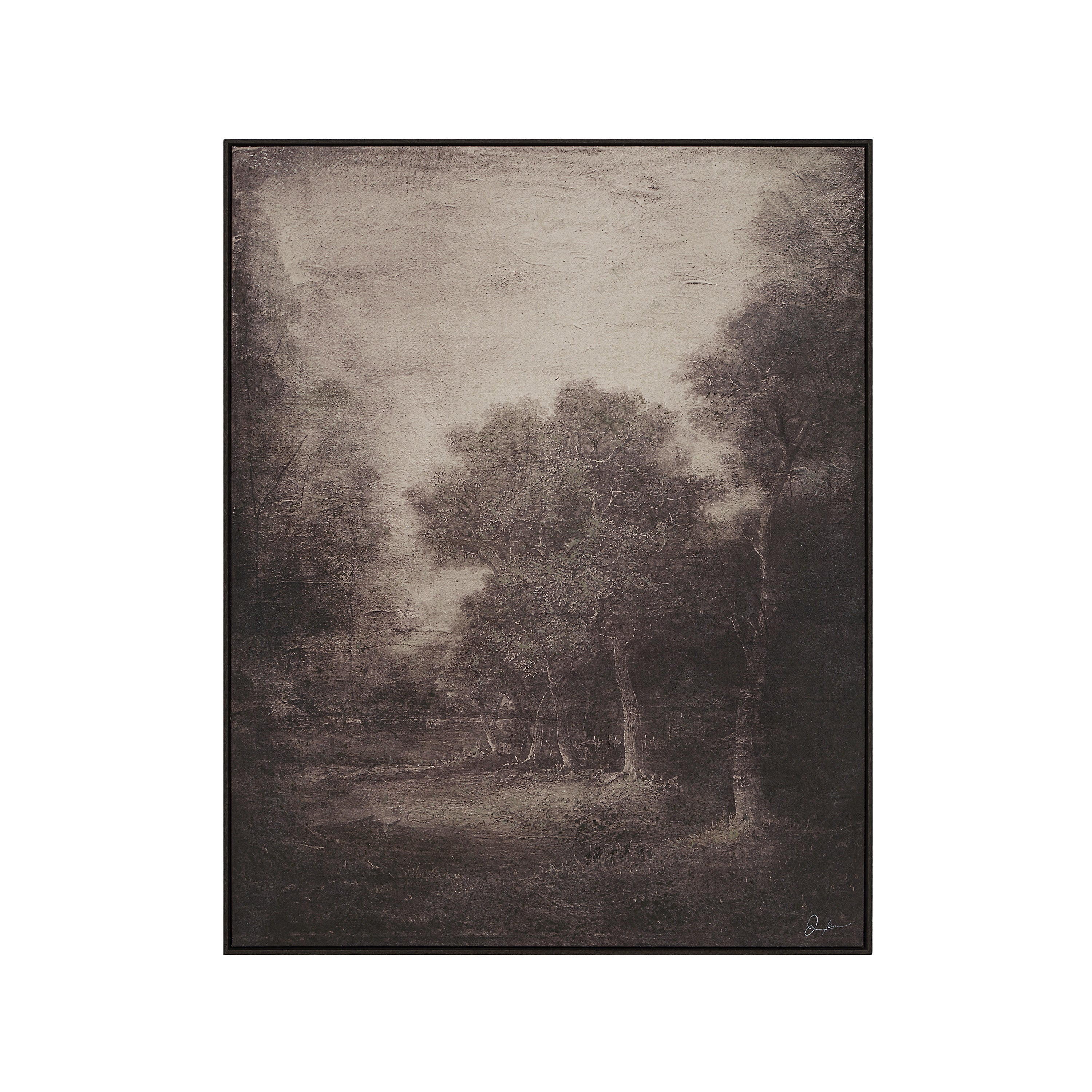 Falco Canvas Artwork ARTWORK Renwil