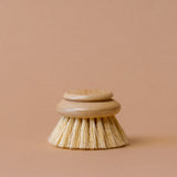 Classic Dish Brush Replacement Head