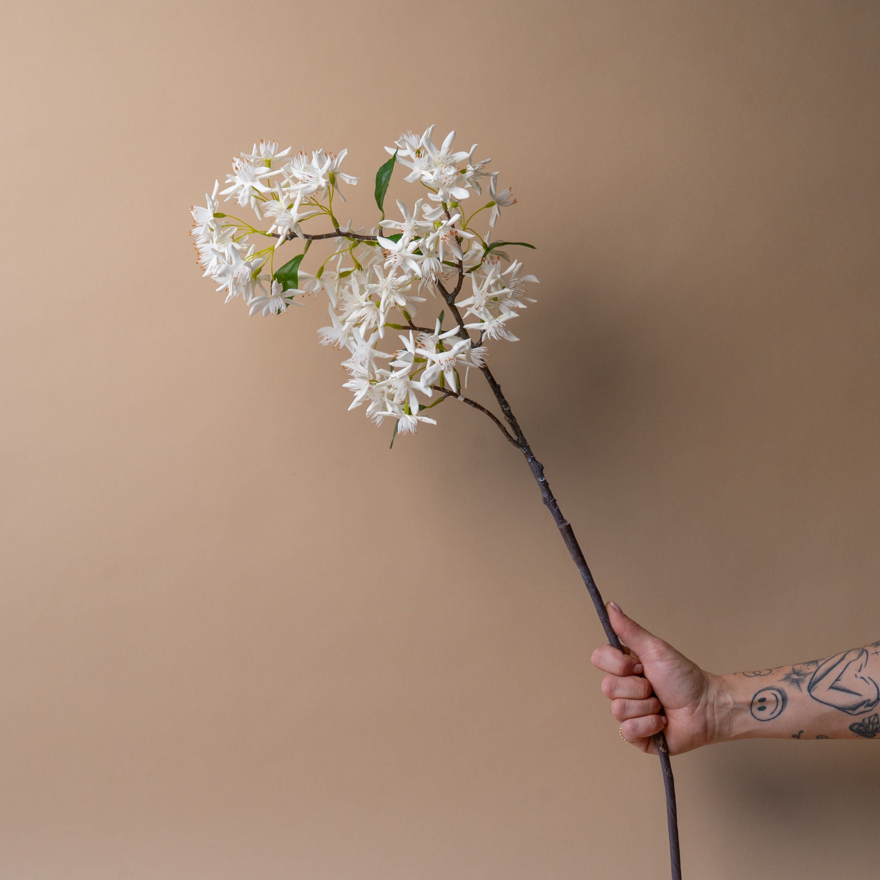 Faux Star Magnolia Branch faux stem Indaba
