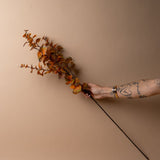 Faux Golden Eucalyptus Stem