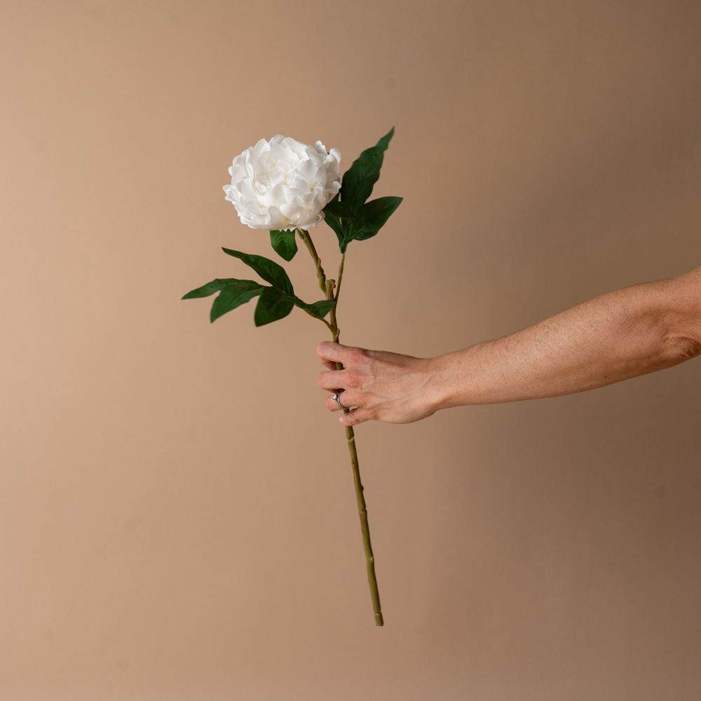 Faux Ivory Peony Stem faux stem Tri W Imports