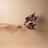 Faux Plum Tree Branch faux stem Indaba