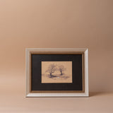"Gentle Swan" Framed Canvas Print