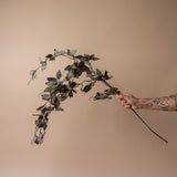 Faux Dried Eucalyptus Spray