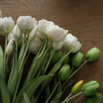 Faux Dynasty Peony Tulip Bundle faux stem Tri W Imports