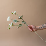 Faux White Ranunculus Spray faux stem Indaba