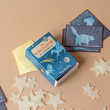Glow in the Dark Constellations Set