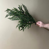 Navy Plum Berry Cypress Stem CHRISTMAS 2025 Luxe B Co (Faire)