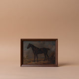 Framed Horse Canvas Print