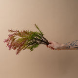 Faux Burgundy Sage Spray faux stem Tri W Imports