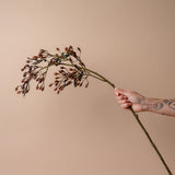 Faux Budding Hipericum Stem
