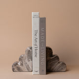 Marbled Scallop Cement Bookend Set