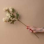 Faux White Pom Pom Stem faux stem Indaba