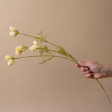 Faux Cream Dandelion Spray faux stem Indaba