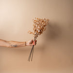 Dried Eucalyptus Bunch faux stem Indaba