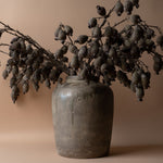 Dried Berry Branch faux stem Indaba