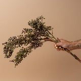 Faux Harvest Berry Spray