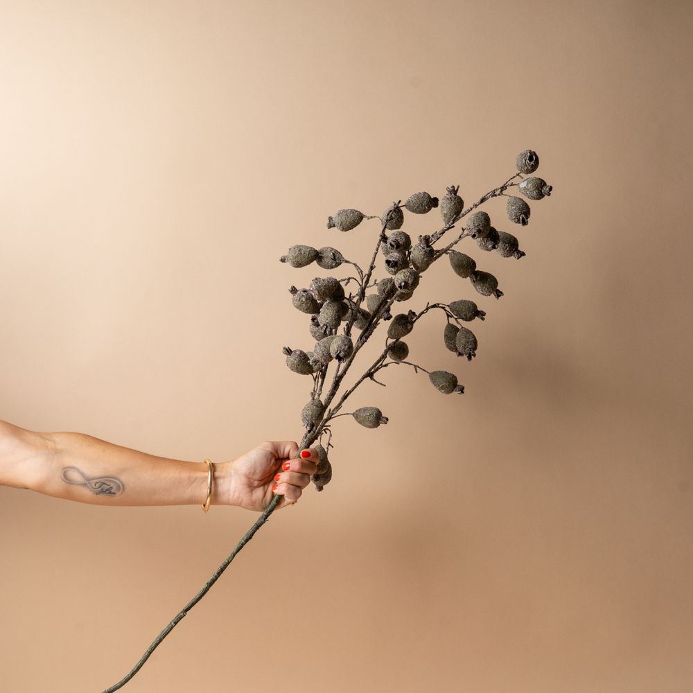 Dried Berry Branch faux stem Indaba