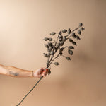 Dried Berry Branch faux stem Indaba