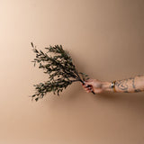 Faux Green Willow Spray