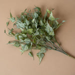 Faux Green Ivy Spray - Rug & Weave