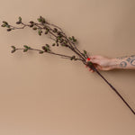 Faux Barberry Stem faux stem Abigail Ahern (Aesthetic Movement)