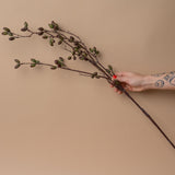 Faux Barberry Stem faux stem Abigail Ahern (Aesthetic Movement)