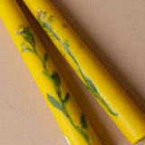 Pressed Floral Taper Candles