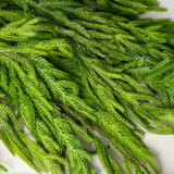 Faux Dripping Pine Garland