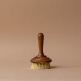 Scrub Brush