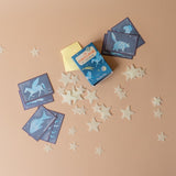 Glow in the Dark Constellations Set