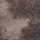 Falco Canvas Artwork ARTWORK Renwil