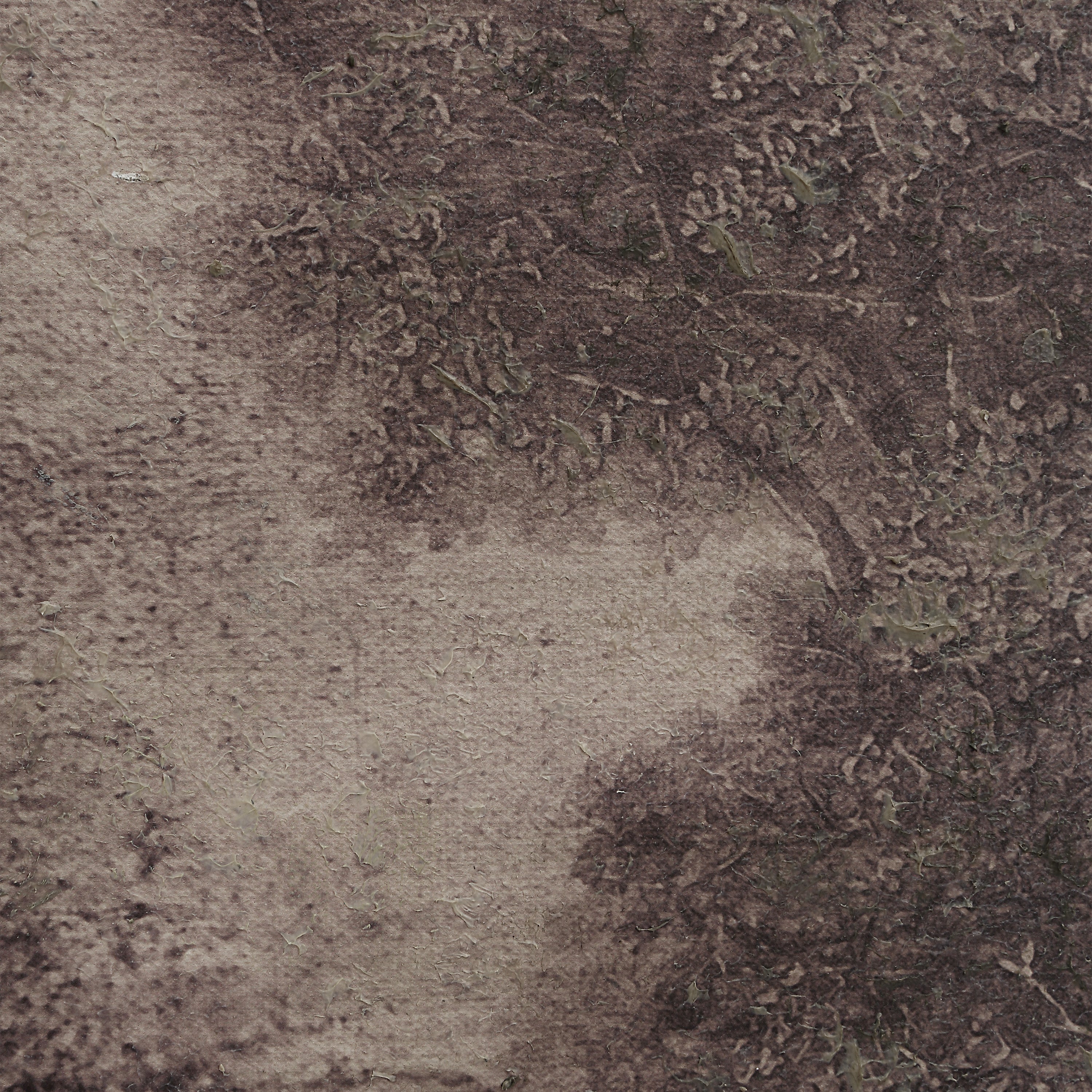 Falco Canvas Artwork ARTWORK Renwil