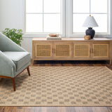 Mitchell Charcoal / Natural Checkered Outdoor Rug