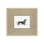 "Canine Heirloom" Framed Art Print ARTWORK - framed art Wendover Art Group Canine Heirloom 3
