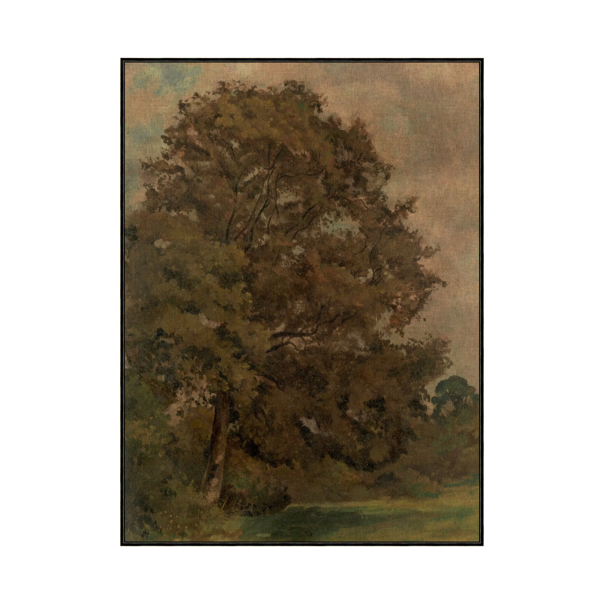 "Gentle Ash" Framed Art Print