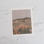 "California Poppies" by Cocoshalom - Rug & Weave