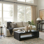 Loloi Emilia Sky / Natural - Rug & Weave
