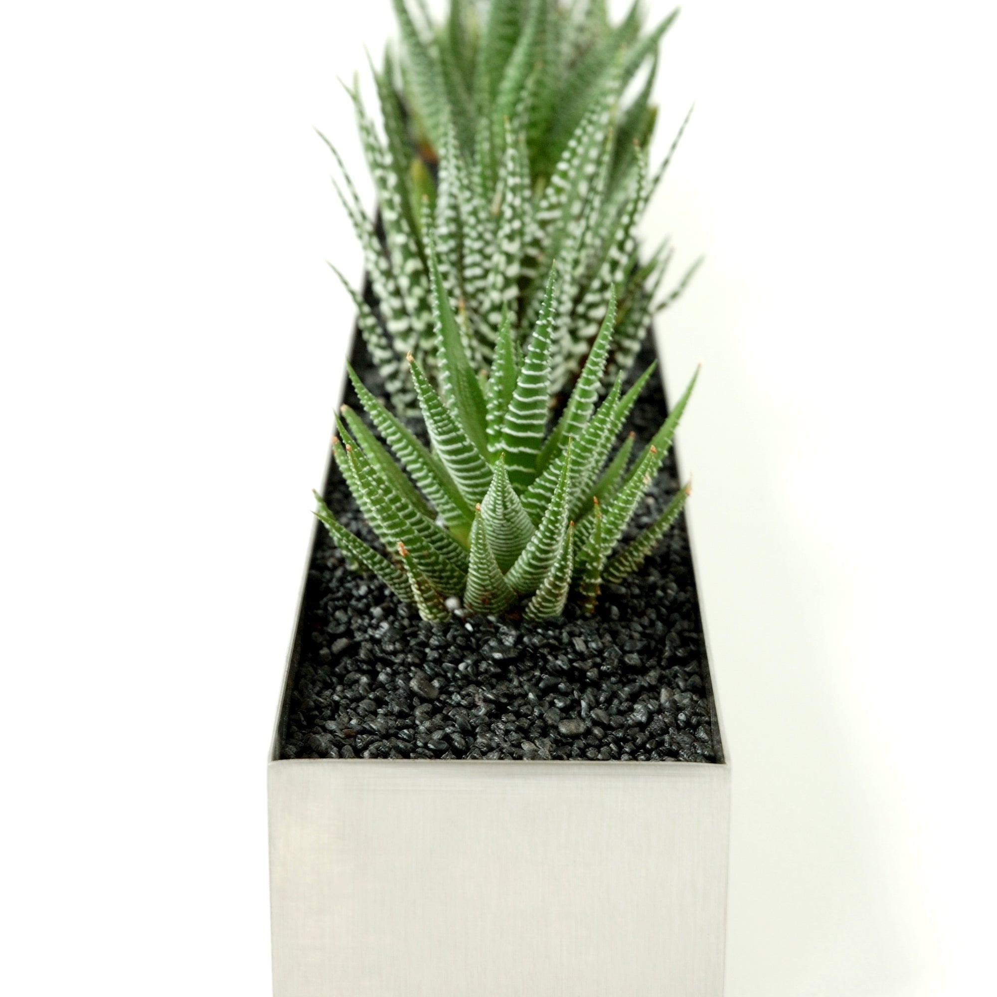 Gus* Modern Plant Trough - Rug & Weave