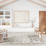 Loloi Hyqqe Smoke / Taupe Rug - Rug & Weave