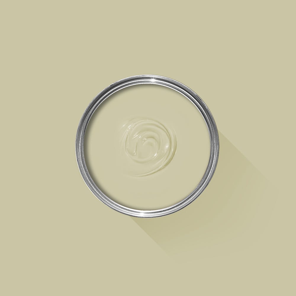 Farrow & Ball Ash Grey No. W9 PAINT - Farrow & Ball Farrow & Ball