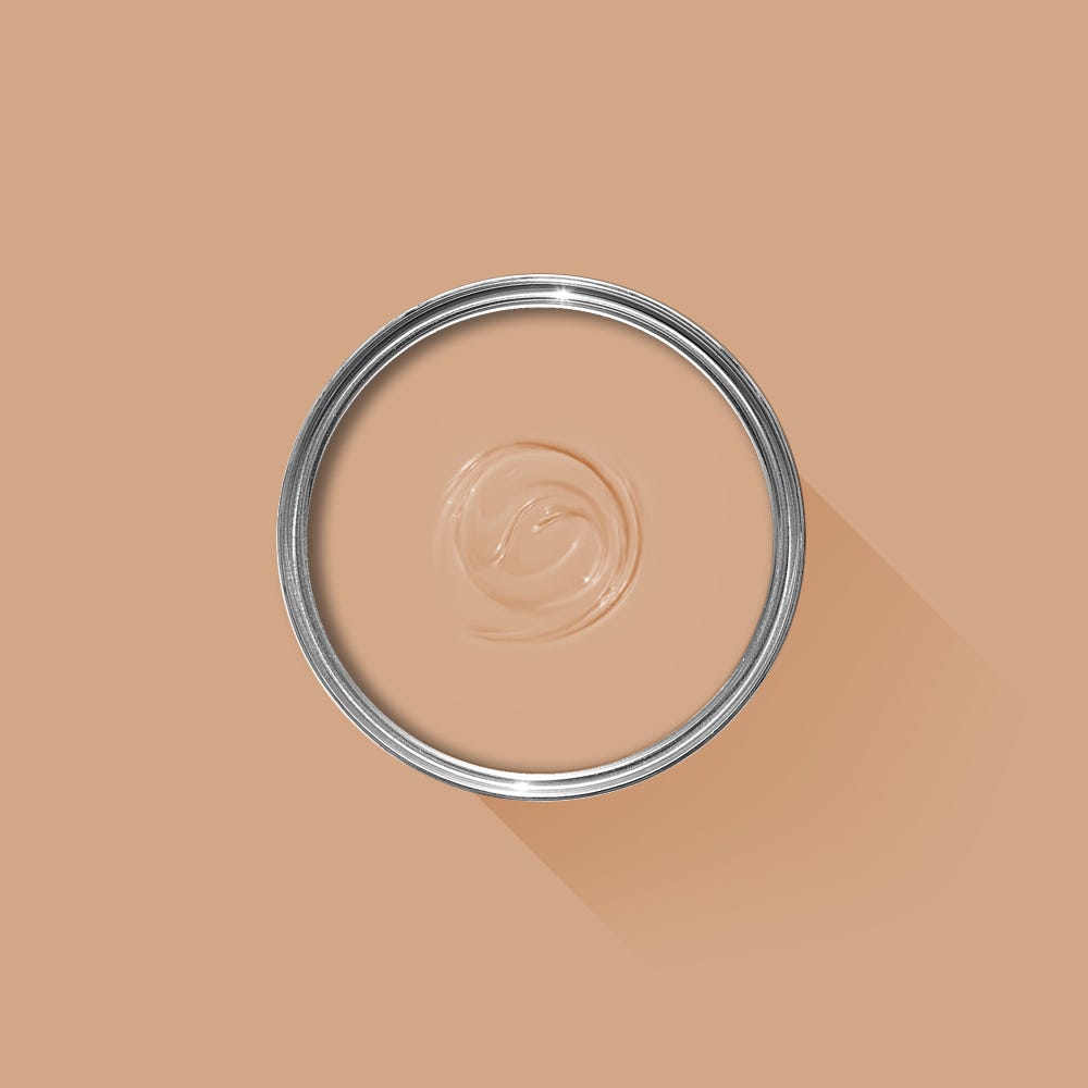 Farrow & Ball Fake Tan No. 9912 PAINT - Farrow & Ball Farrow & Ball
