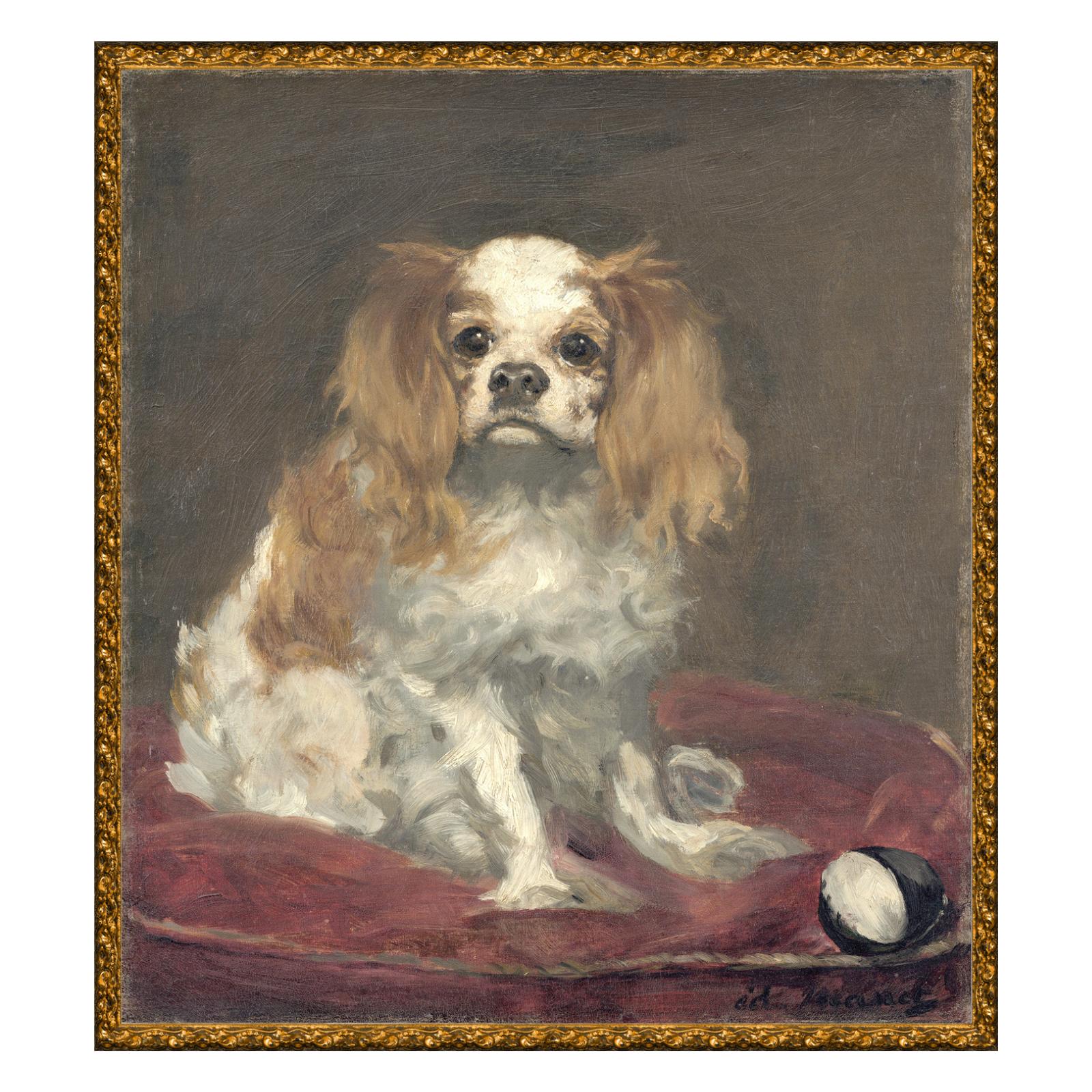 "Dog Portrait" Framed Art Print